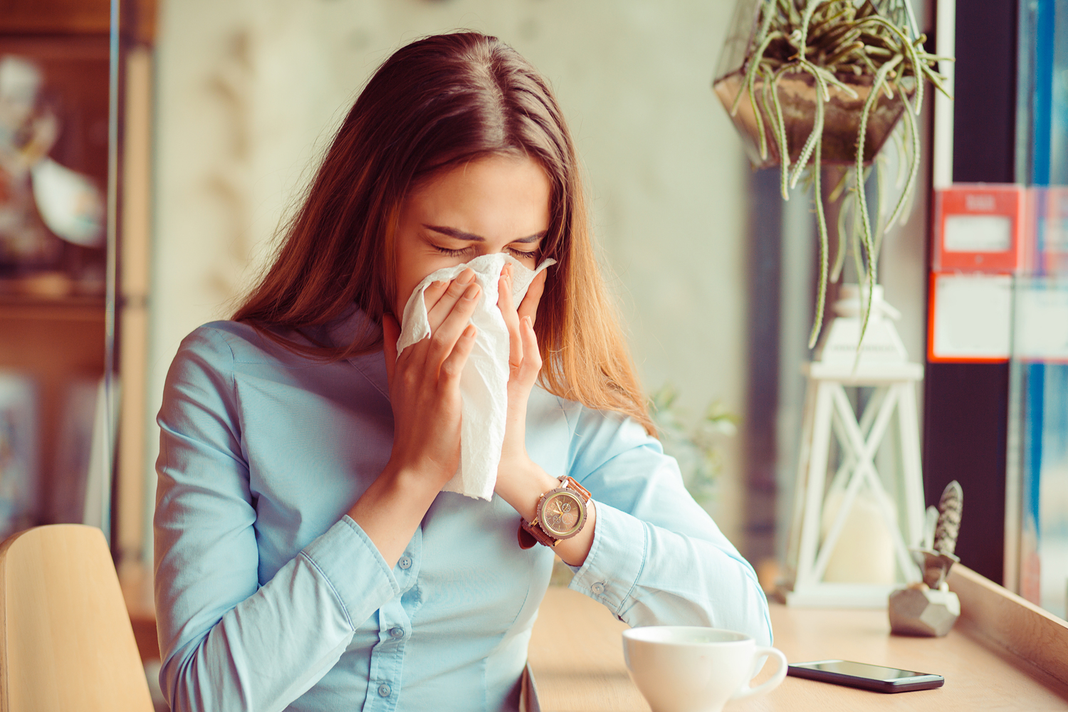 Main allergy triggers you need to be aware of