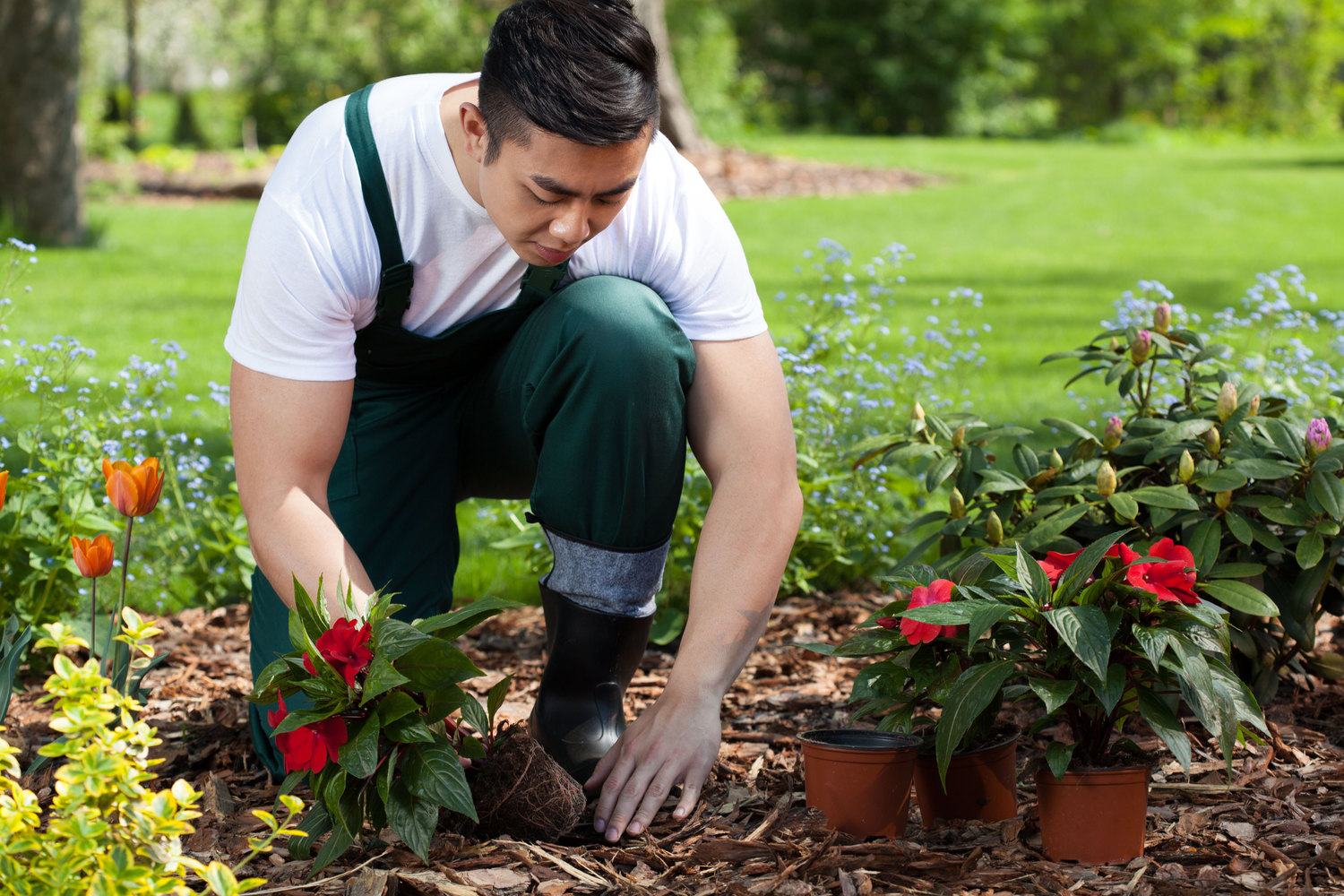 The health benefits of gardening uncovered