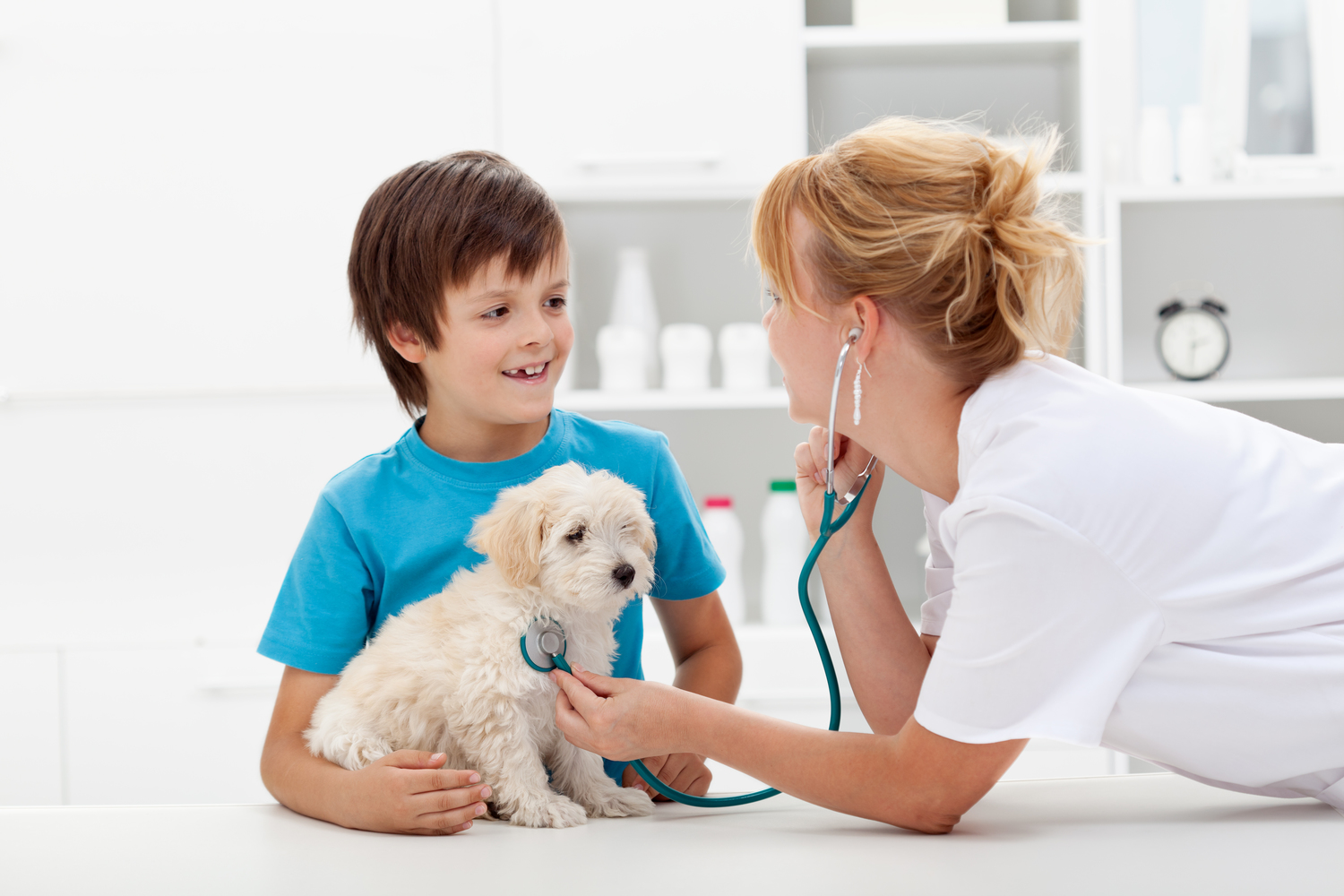 Flea and Tick Prevention in Dogs